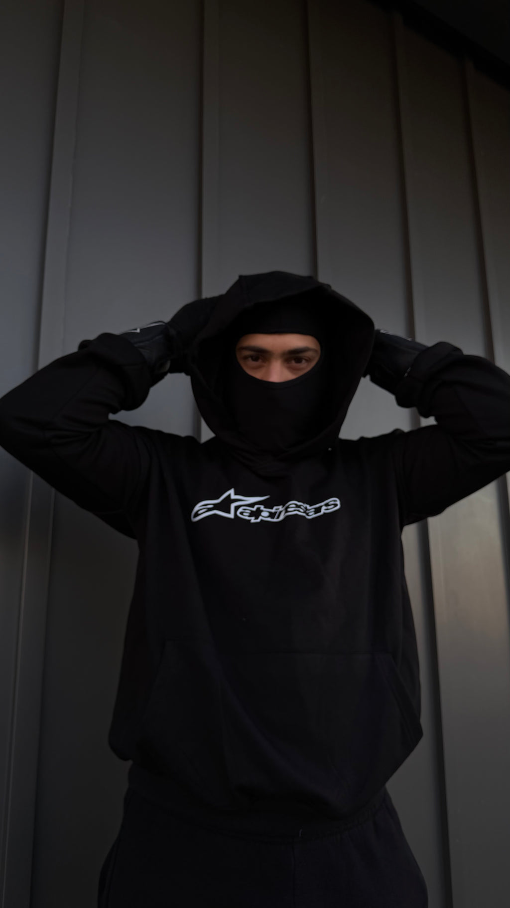 AlpineStars Masked Hoodie